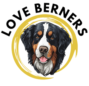 love berners logo for footer