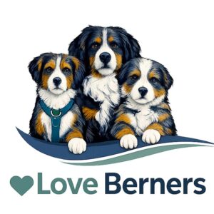 Love Berners Logo Illustration of three Bernese Mountain Dogs sitting together above the words Love Berners with a heart symbol. The dogs have black, white, and brown fur and look friendly.