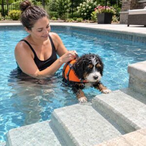 A woman in a pool helps a wet dog wearing an orange life jacket climb the steps, demonstrating the importance of dog swimming safety. The scene is bright and summery, with plants and patio furniture in the background.